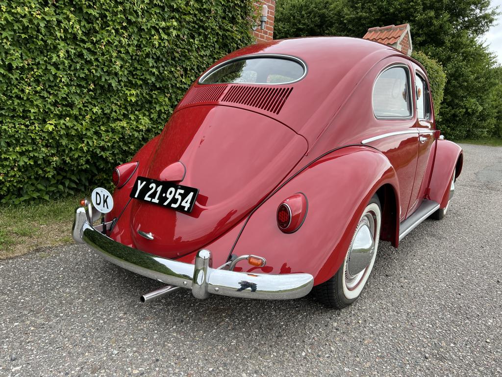 VW 1200 1954
